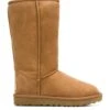 UGG | Stiefel Beige Damen